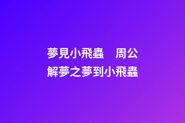 夢見小飛蟲　周公解夢之夢到小飛蟲